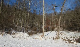 297 Woodburn Run Rd, Alma, WV 26320