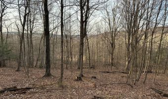Lot 4 Mud Run Rd, Addison, NY 14801