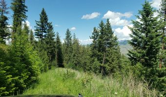 Arlee Pines lot 20, Arlee, MT 59821