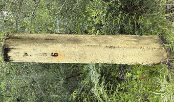 80 AC Old River Rd, Baker, FL 32531