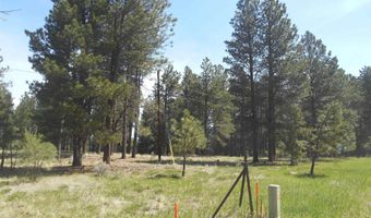 Lot 7 Horseshoe Bend, Angel Fire, NM 87710