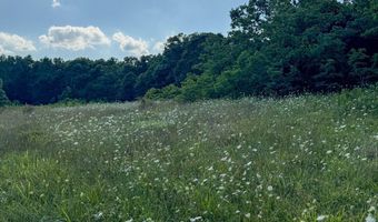 Co Rd 539, Ava, MO 65629