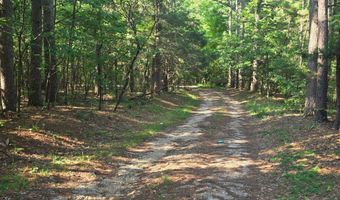 1640 County Road 203, Alton, MO 65606