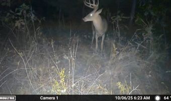 S80 Helt Rd, Antlers, OK 74525