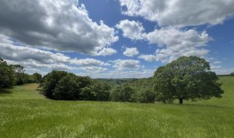 DOWNES ROAD, Bergman, AR 72615