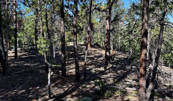 0 Pine Cone Cir Lot 46, Allenspark, CO 80540