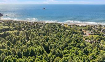 Lion Rock, Arch Cape, OR 97102