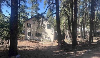 32 Cub Ct, Bayfield, CO 81122