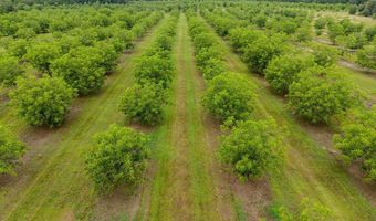 9953 Gravel Hl, Baconton, GA 31716