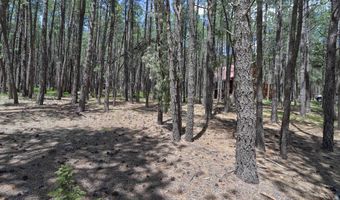 Lot 563 Lakeview Park Drive, Angel Fire, NM 87710