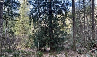 NE SCHAUER Dr, Battle Ground, WA 98604