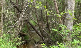Cedar Lane, Alexander City, AL 35010