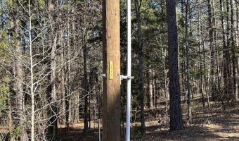 3306 Black Hill Rd, Bee Branch, AR 72013