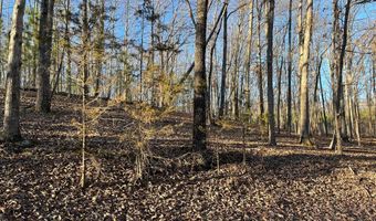 Stockdale Circle, Big Sandy, TN 38221