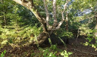 000 Tooley Rd, Asher, OK 74826