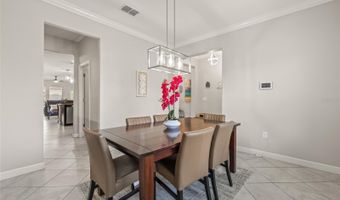3212 CALVANO Dr, Land O Lakes, FL 34639