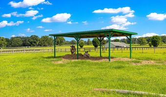 12345 NE 14TH Ave, Anthony, FL 32617