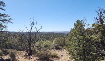 363 Big Vw, Ash Fork, AZ 86320