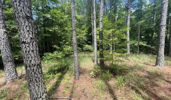 0 CR 437, Ashland, MS 38603