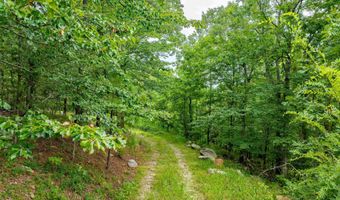 100 Block SPANISH MINE, Jessieville, AR 71909