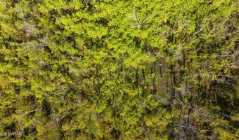 Beech Bluff Road, Beech Bluff, TN 38313