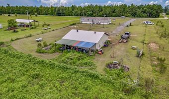 14730 NW CR 274, Altha, FL 32421