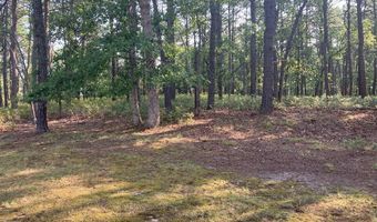 18 NANCY Ln N18, Barnegat, NJ 08005