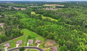 Vine Drive, Brandon, MS 39047