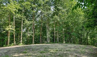 2926 Bryant Ridge Rd, Baxter, TN 38544