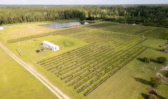 1054 Penny Morris Rd, Baxley, GA 31513