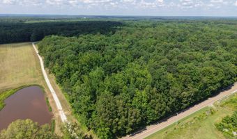 0000 Mifflin Rd, Beech Bluff, TN 38301