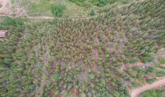 427 Wise Rd, Bailey, CO 80421