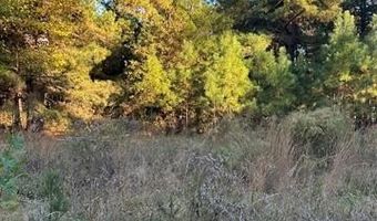 421041 E 1945 Ln, Antlers, OK 74523