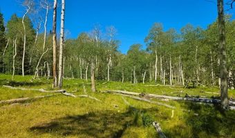 40 Acres Summit Mountain Rd, Brian Head, UT 84719