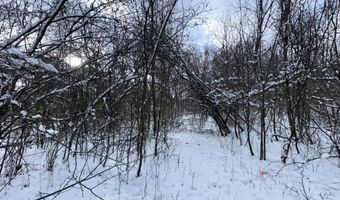 2770 S Wagner Rd, Ann Arbor, MI 48103