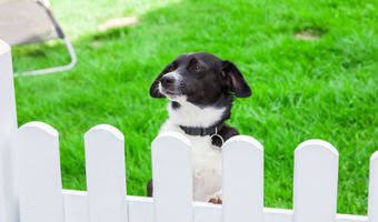 3096 Cottage Cove Dr, Akron, OH 44312