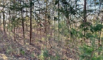 Lot 22 PLANTATION POINT, Lincolnton, GA 30817