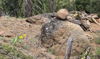 Railroad Flat Dr, Alturas, CA 96101