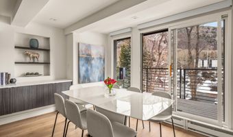 1039 E Cooper Ave 20, Aspen, CO 81611