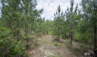 Phillipsville Road, Bay Minette, AL 36507