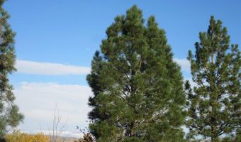 1505 Draw St, Cody, WY 82414