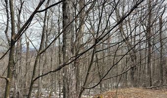 Chappell Farms N lot 5, Banner Elk, NC 28604