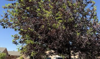 1434 Southern View Dr, Cedar City, UT 84720