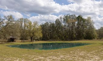 3670 NW 20TH Ave, Bell, FL 32619