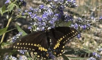 21 Agua Fria Rd, Belen, NM 87002