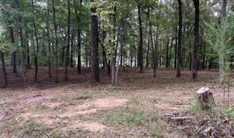1 CENTURAS Cir 2, Alpine, AL 35014