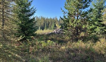 Tract 6 USFS 2294, Clark Fork, ID 83811