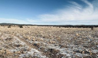 98- C Ten Tanks Rd, Ash Fork, AZ 86320