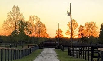 2120 15th Way, Bell, FL 32619