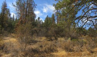 Tiger Lane lot 2, Bonanza, OR 97623